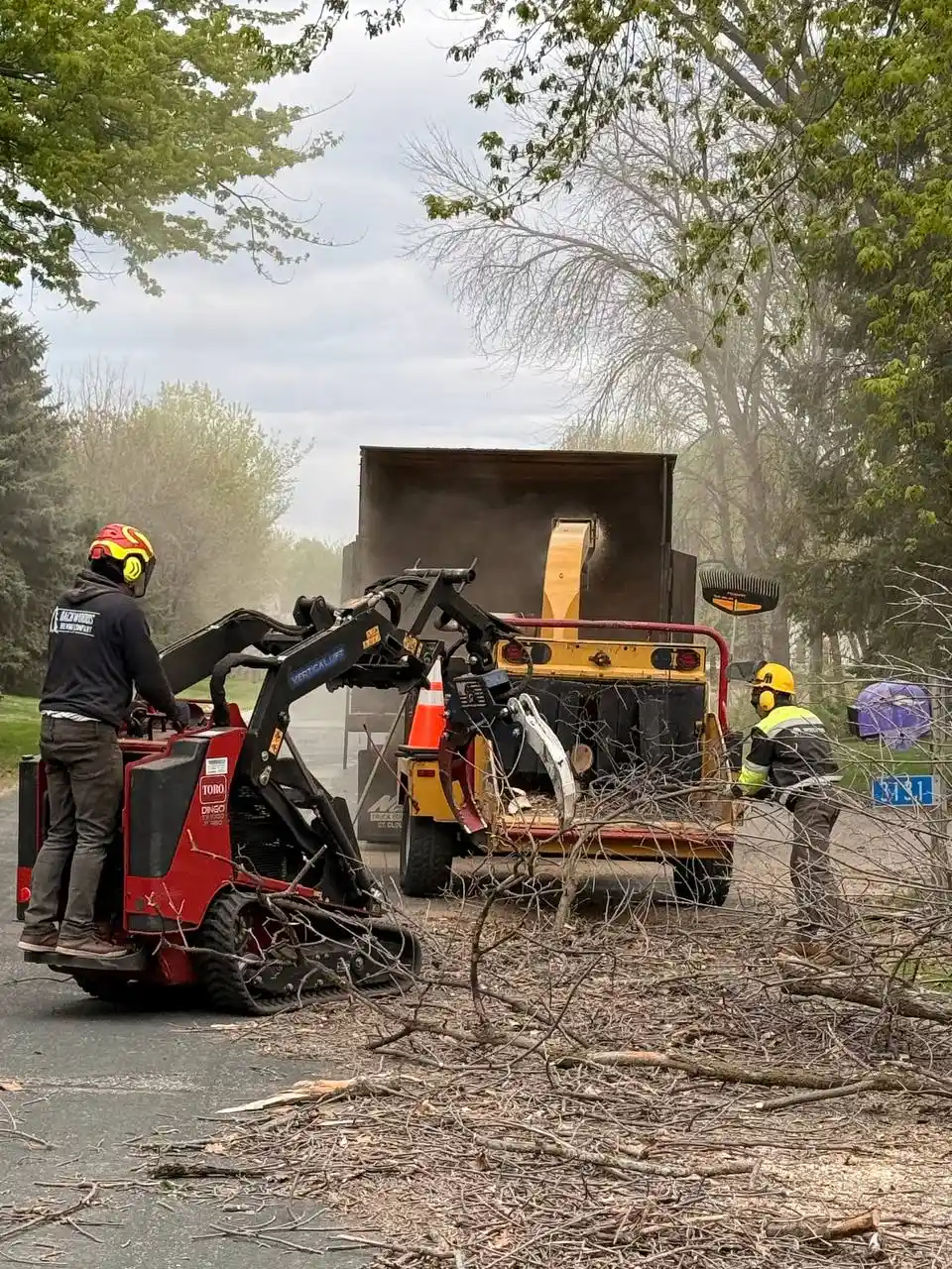 Heavy-Duty Brush Chipping and Emergency Storm Debris Cleanup Tree service crew using a mini track loader to quickly feed massive piles of storm debris and heavy branches into a commercial wood chipper during an emergency cleanup.
