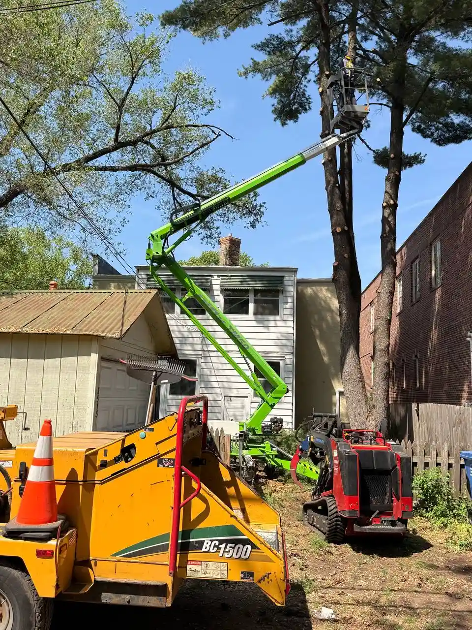 Safe Emergency Tree Removal in Tight Residential Spaces Emergency tree service crew using a compact aerial lift and mini track loader to safely dismantle a large hazardous pine tree in a confined residential space between buildings.