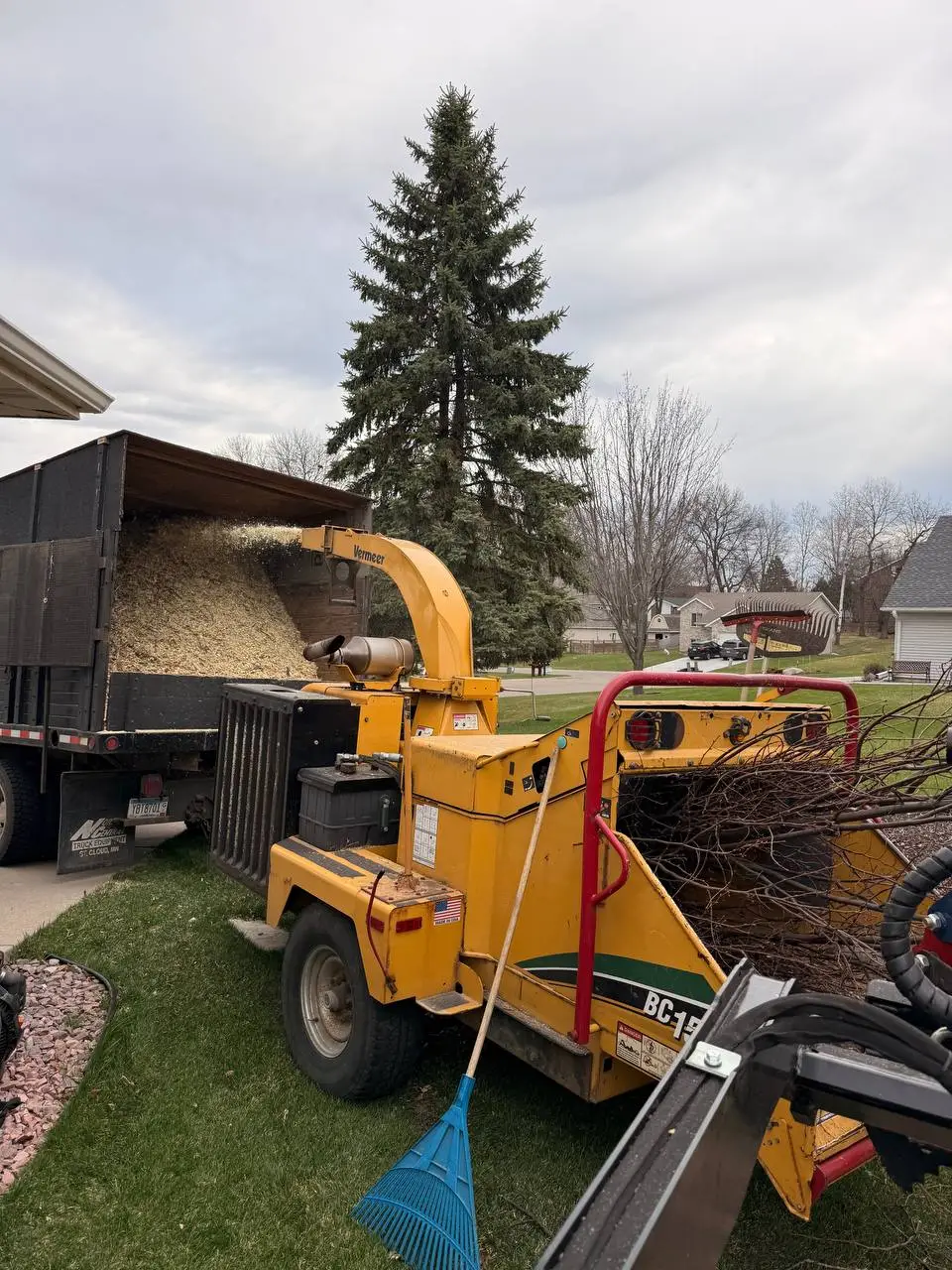 Removing a large fallen tree from a residential property in Bloomington