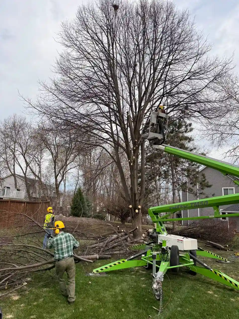 Storm damaged tree cleanup in Twin Cities area
