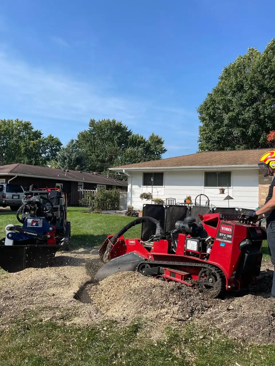 Stump grinding job completed in Edina MN