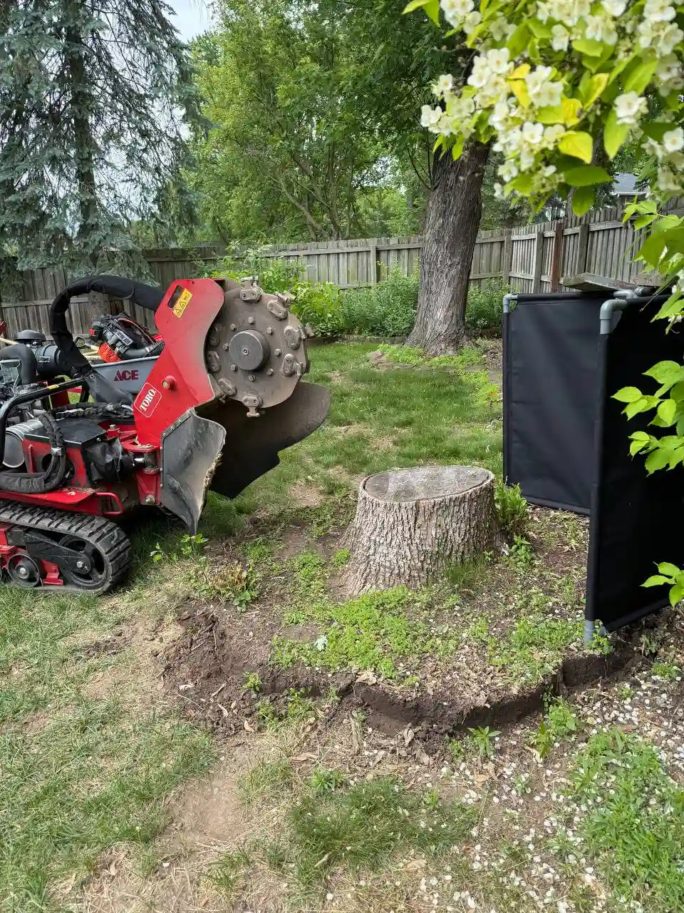 Stump grinding in progress at a residential property in Richfield Minnesota