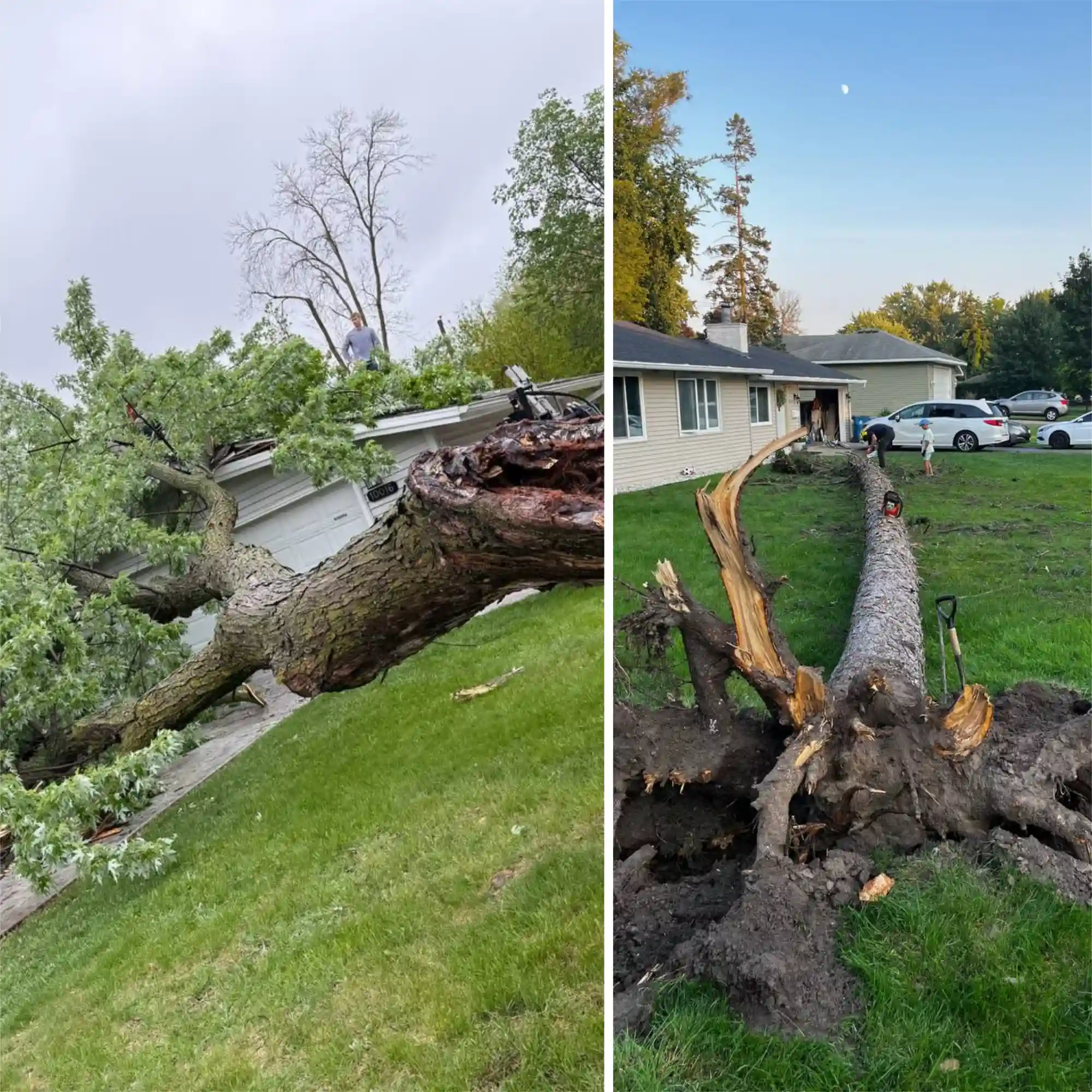 Emergency tree removal service 24/7 in Bloomington and Twin Cities Minnesota
