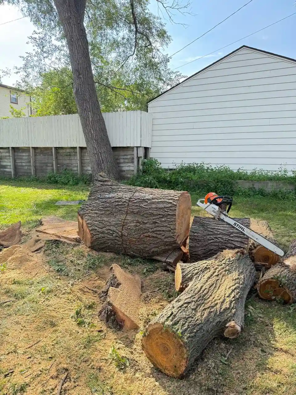 Tree cutting project in Eden Prairie Minnesota