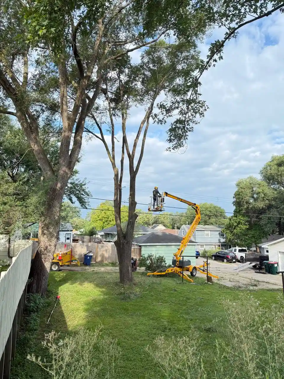 Before and after tree removal project in Minneapolis MN by KVN Pro Tree Service
