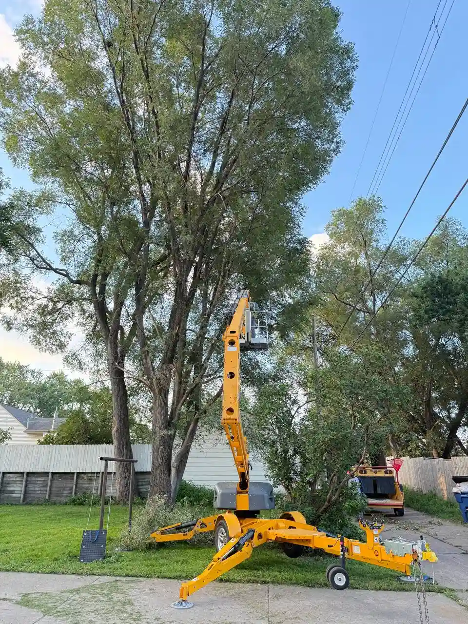 Completed tree removal showing clean yard in St. Louis Park