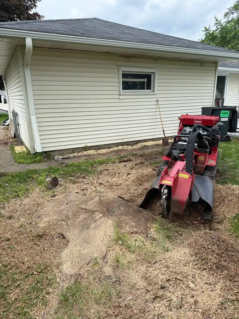Completed stump grinding job showing clean ground in Twin Cities MN