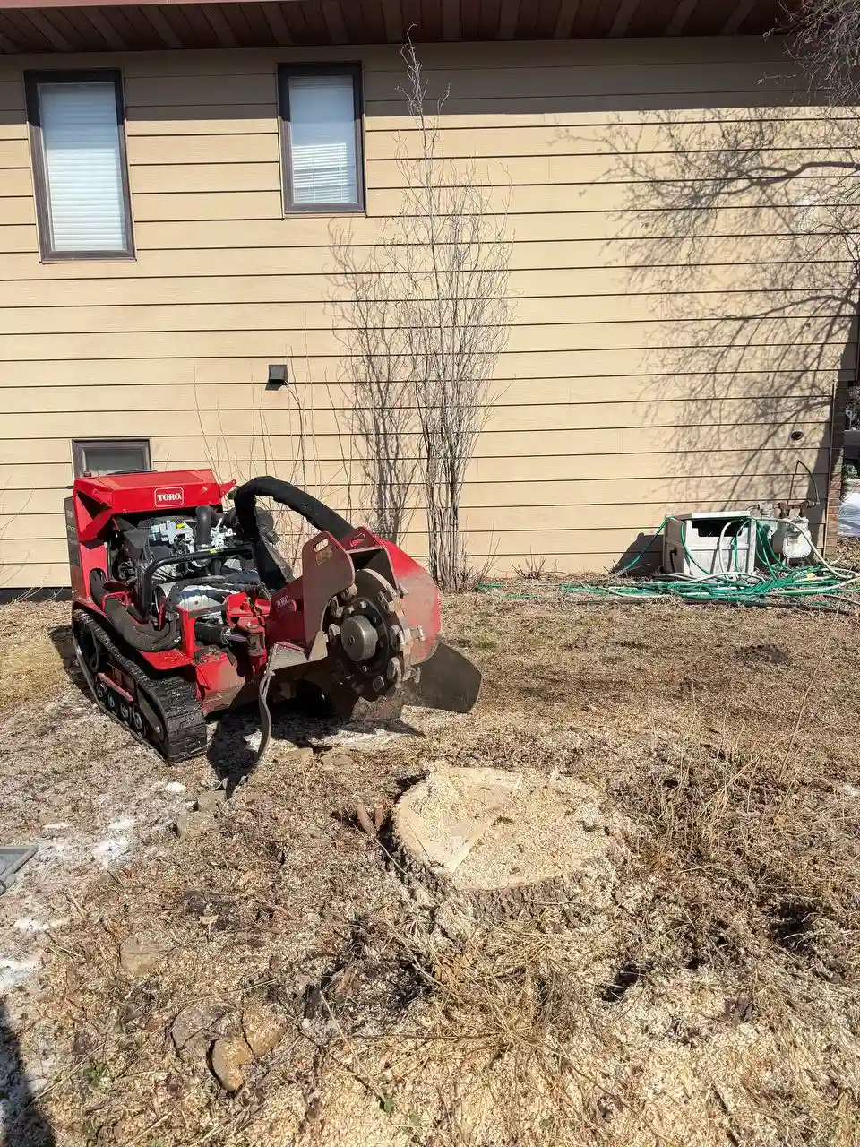 Winter stump grinding service in Bloomington MN