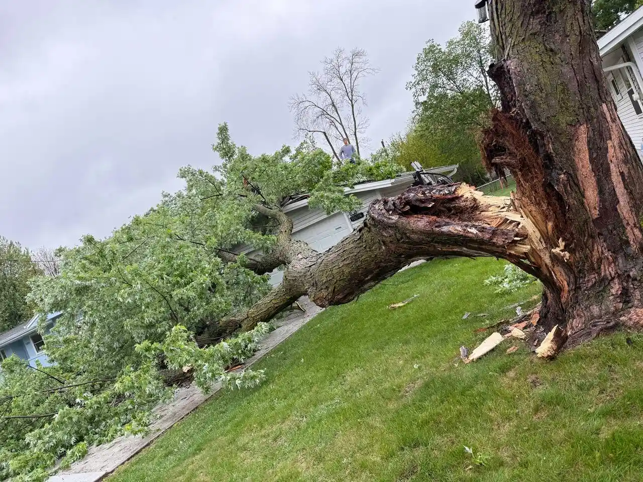 Emergency tree service and storm damage cleanup in Twin Cities