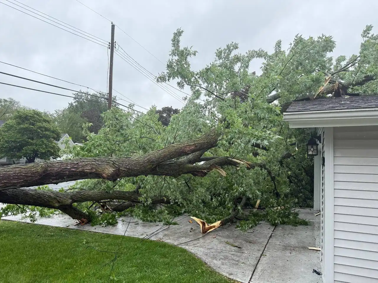 Emergency tree removal after storm damage in Bloomington Minnesota