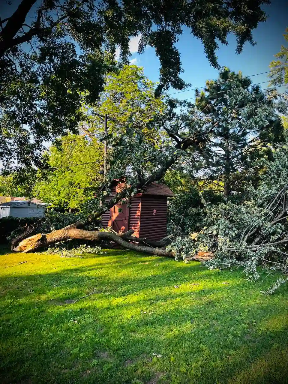 Storm damage cleanup and emergency tree service in Minneapolis area