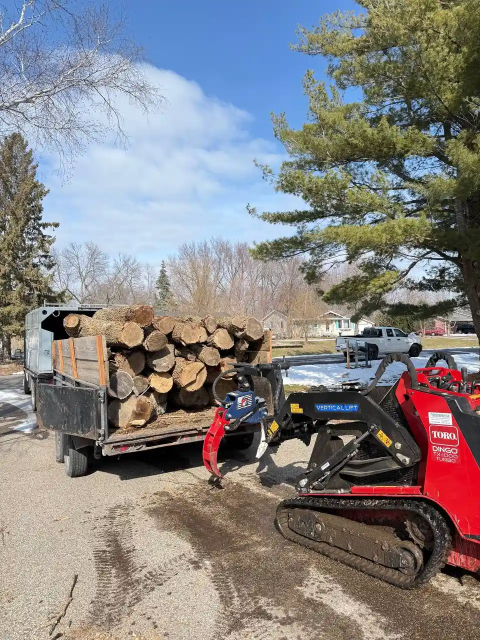 Tree hauling and debris removal project