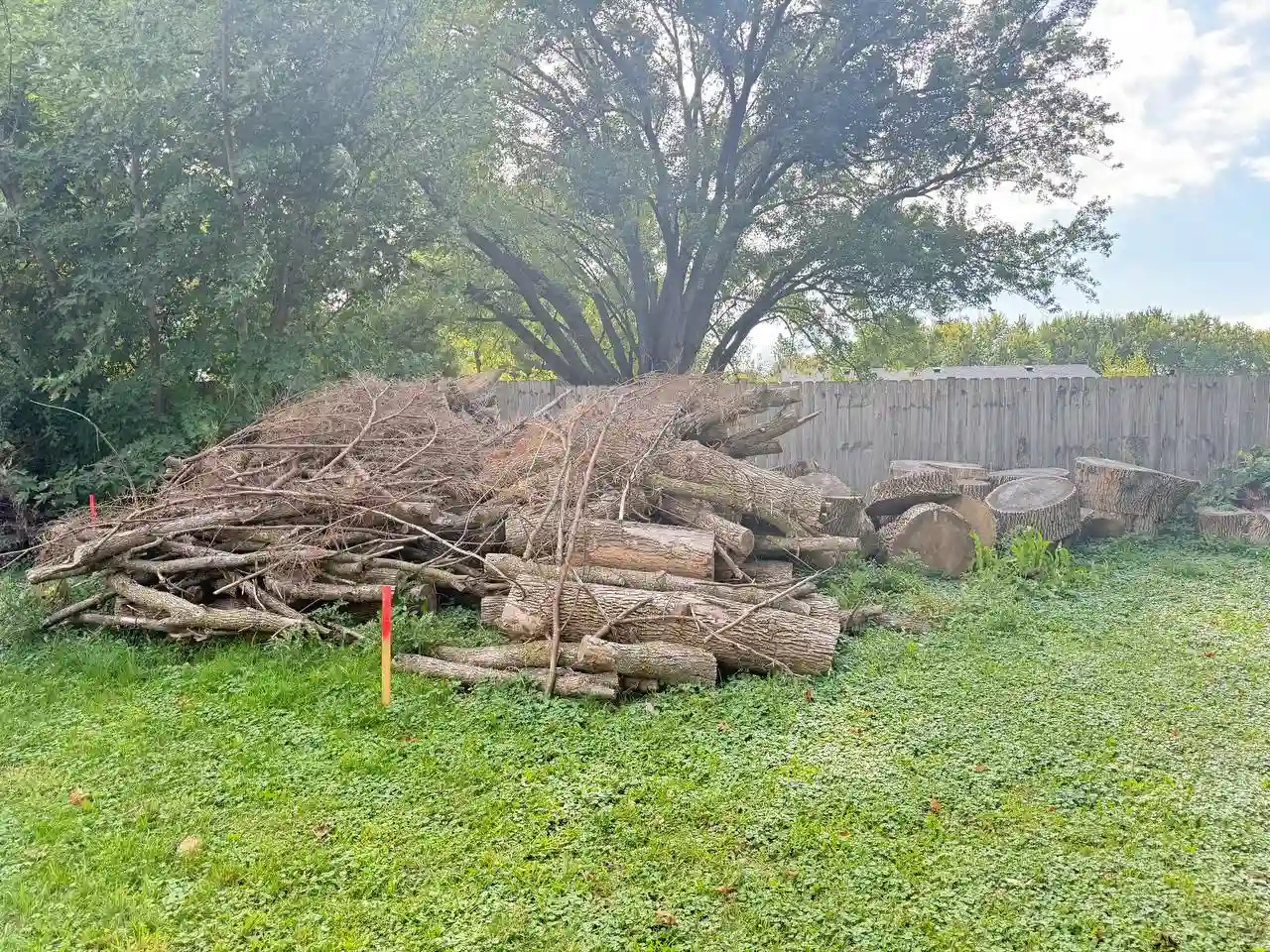 Clean property after tree debris removal service in the Twin Cities area
