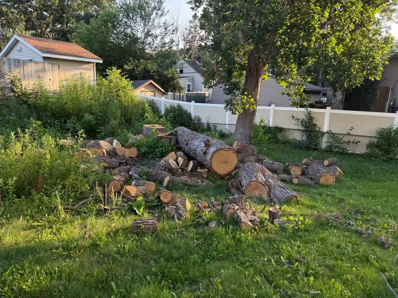 Professional tree hauling equipment in the Twin Cities