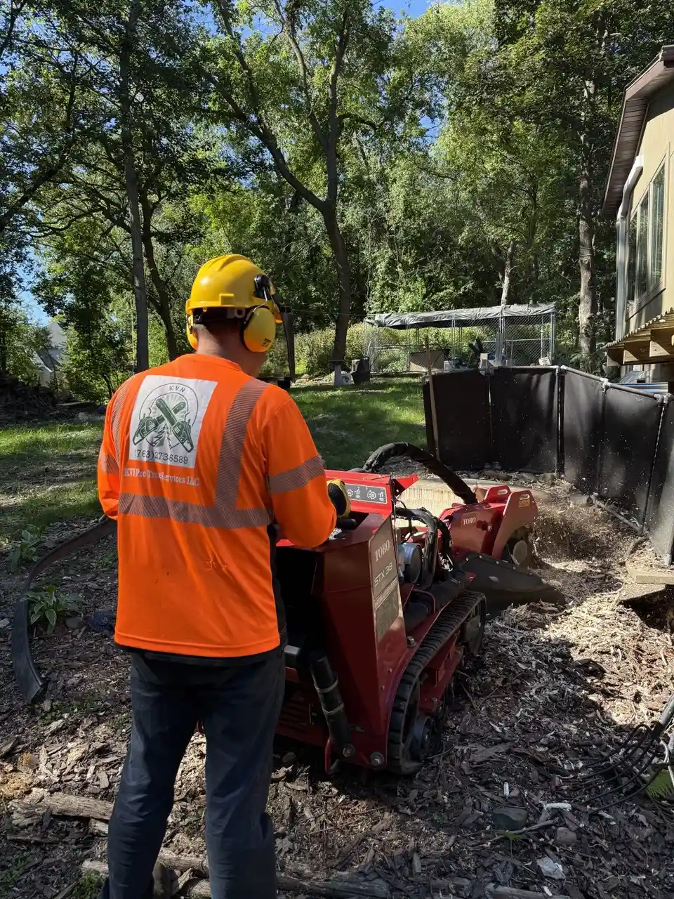 Stump grinding service in Twin Cities MN using professional Toro stump grinder