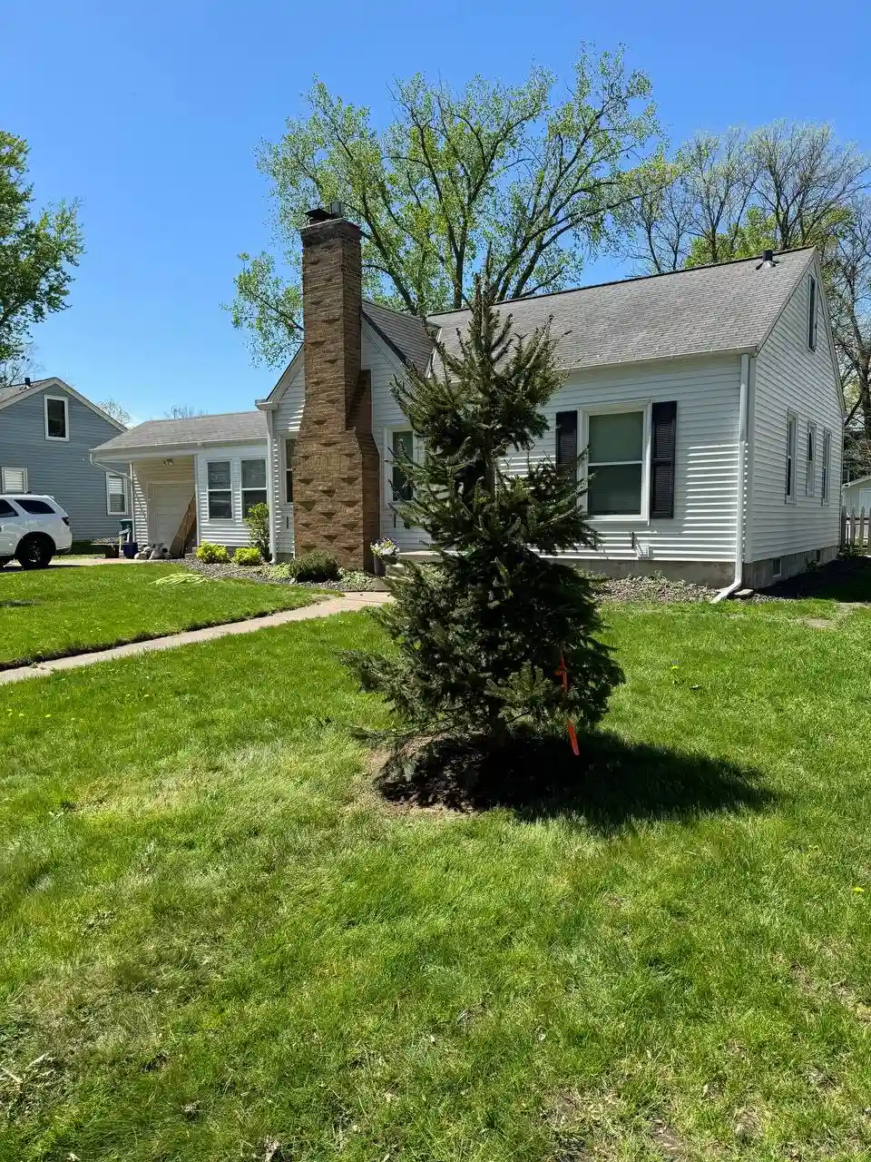 Tree planting project completed in a yard in Minneapolis area